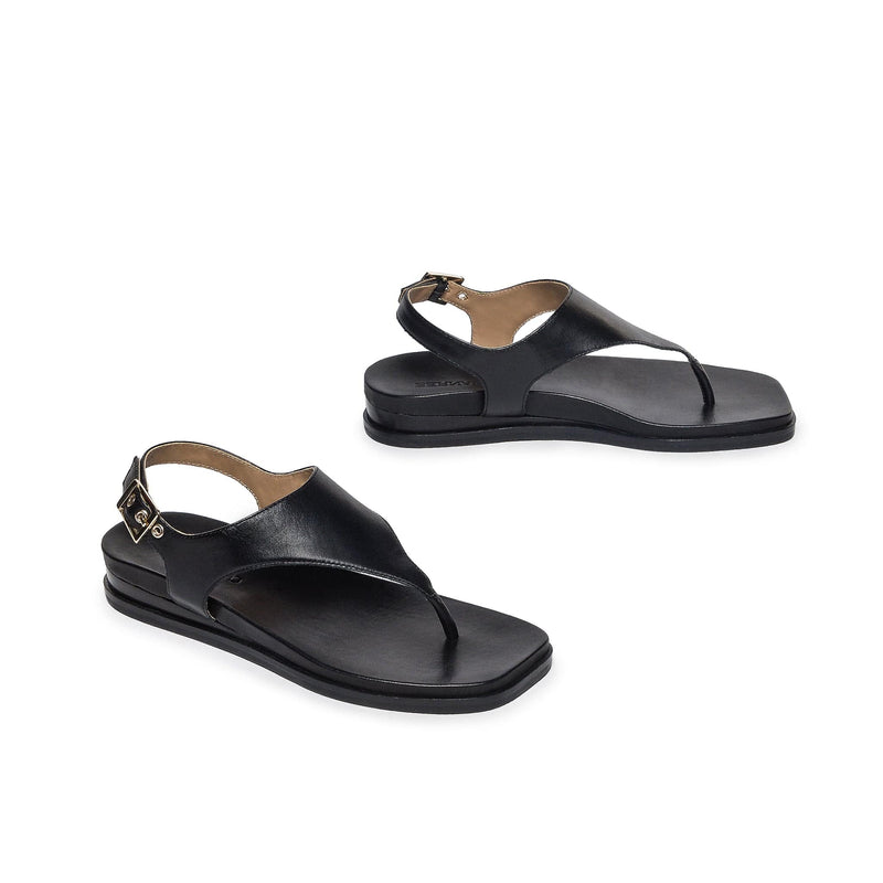 Bernardo Concord Thong Sandali Bassi Donna Nere | QEN119RB