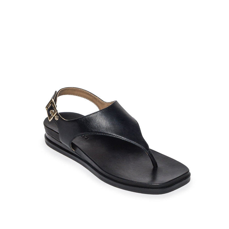 Bernardo Concord Thong Sandali Bassi Donna Nere | QEN119RB