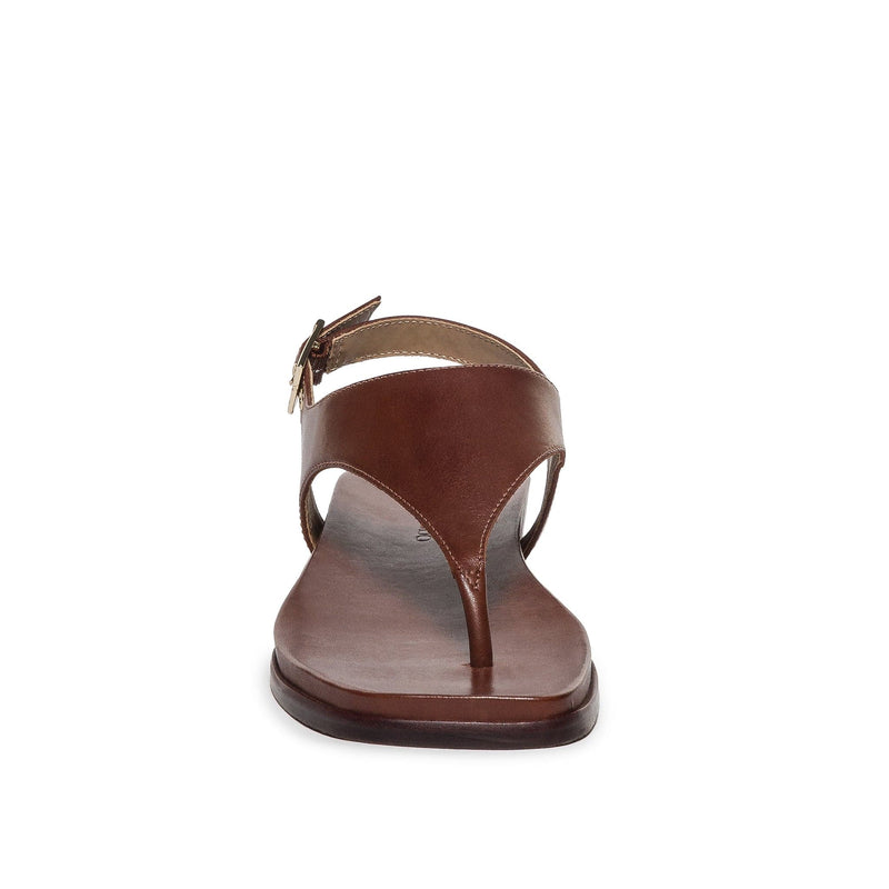 Bernardo Concord Thong Sandali Bassi Donna Cioccolato | BKL8479CU