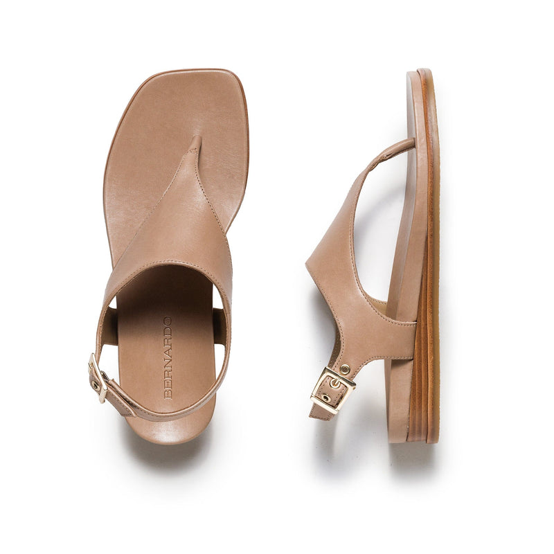 Bernardo Concord Thong Sandali Bassi Donna Marroni Chiaro | QYT6566OA