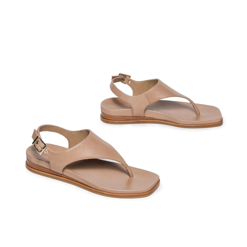 Bernardo Concord Thong Sandali Bassi Donna Marroni Chiaro | QYT6566OA