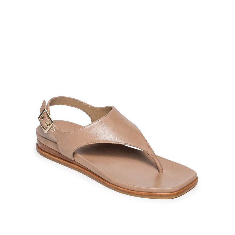 Bernardo Concord Thong Sandali Bassi Donna Marroni Chiaro | QYT6566OA