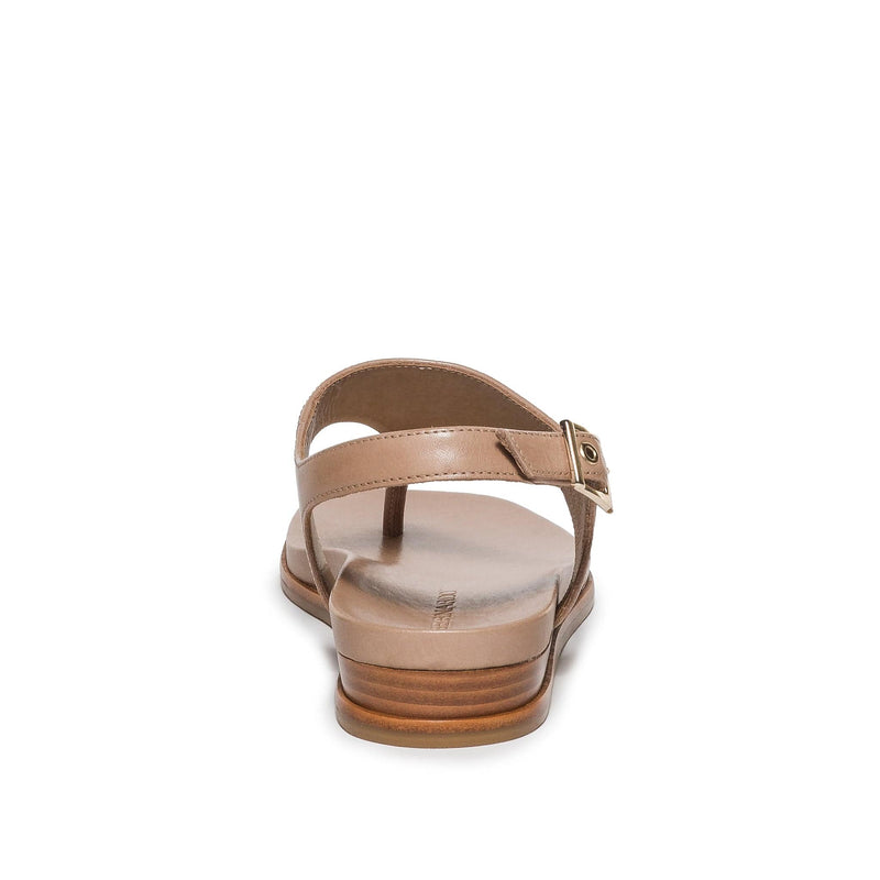 Bernardo Concord Thong Sandali Bassi Donna Marroni Chiaro | QYT6566OA